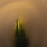 Image4